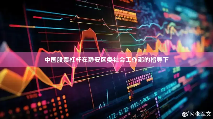 中国股票杠杆在静安区委社会工作部的指导下