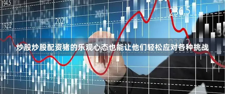 炒股炒股配资猪的乐观心态也能让他们轻松应对各种挑战