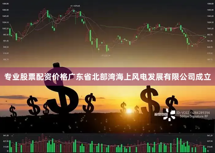 专业股票配资价格广东省北部湾海上风电发展有限公司成立