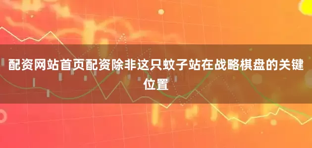 配资网站首页配资除非这只蚊子站在战略棋盘的关键位置