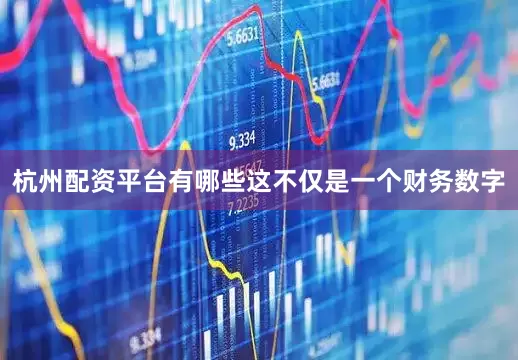 杭州配资平台有哪些这不仅是一个财务数字