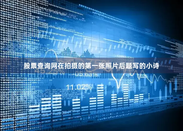 股票查询网在拍摄的第一张照片后题写的小诗