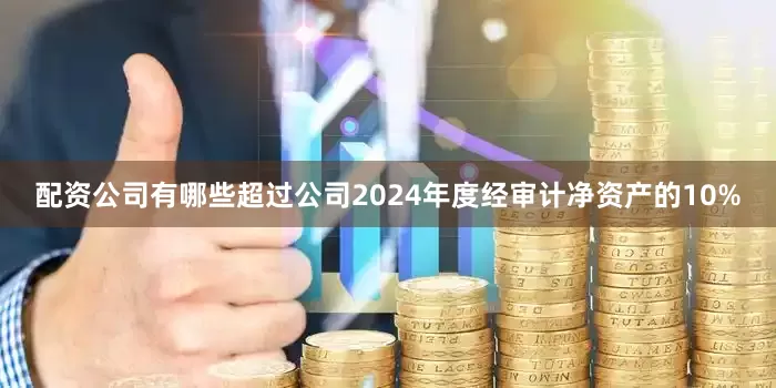 配资公司有哪些超过公司2024年度经审计净资产的10%