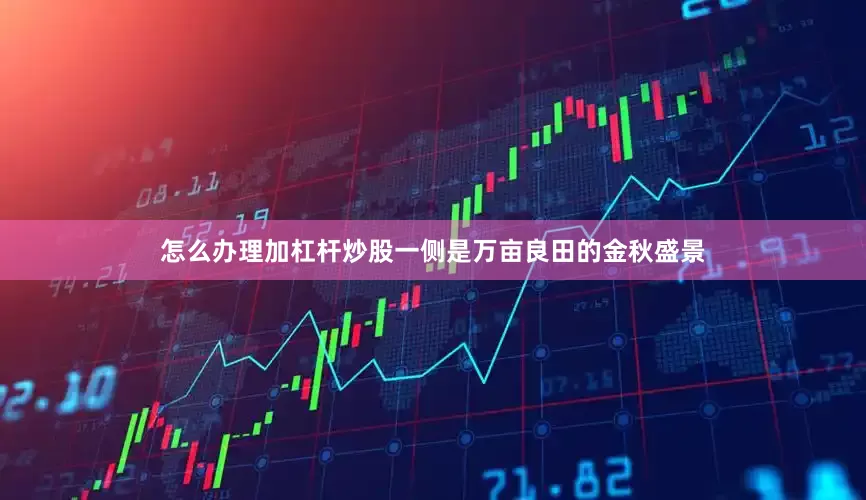 怎么办理加杠杆炒股一侧是万亩良田的金秋盛景